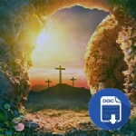 79-11-02 20260317 De Goede Week.docx